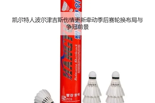 凯尔特人波尔津吉斯伤情更新牵动季后赛轮换布局与争冠前景